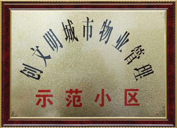 公司荣誉