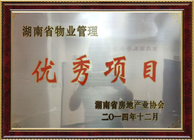 公司荣誉