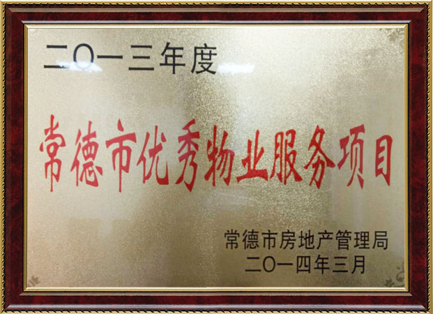 公司荣誉