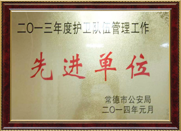 公司荣誉