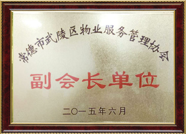 公司荣誉