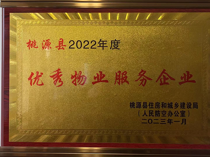 公司荣誉